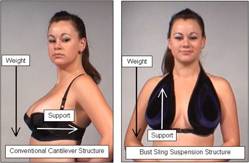 Comparison of Bra Structure